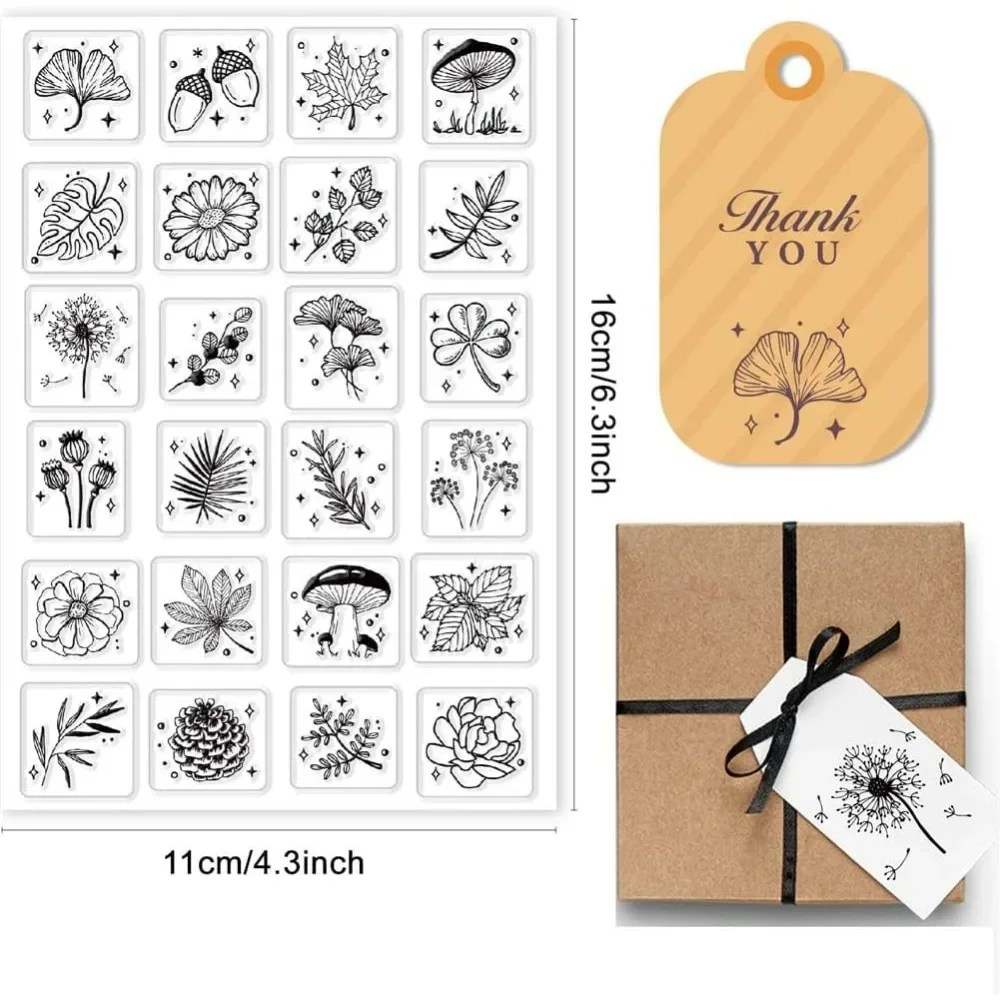 Timbres transparents de feuill - Rubber Plant Ficus avis et prix