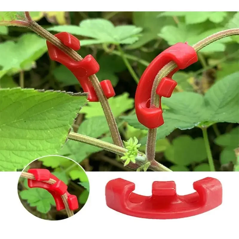 10-100 pièces Clips de pliage  - Plant Parent Tools avis et prix