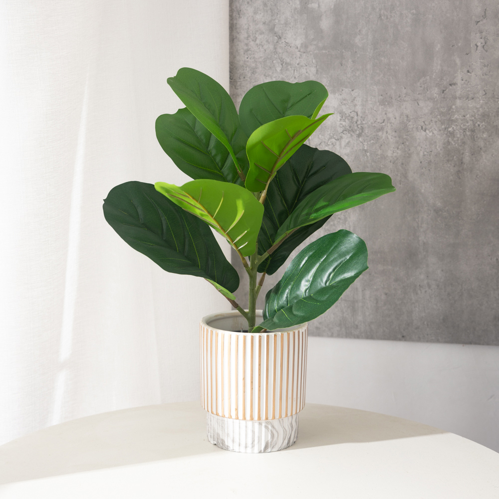 Plantes de Ficus artificielles - Rubber Plant Ficus avis et prix