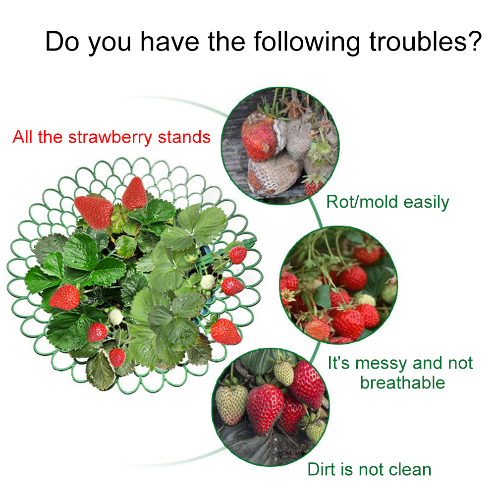 Supports de fraises avec 3 pie - Plant Parent Tools avis et prix