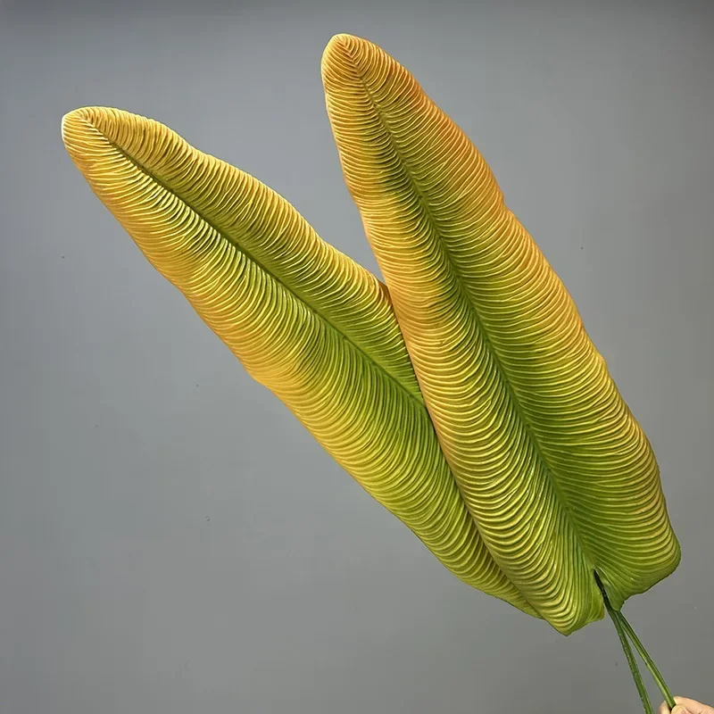 Plantes vertes artificielles e - Rubber Plant Ficus avis et prix