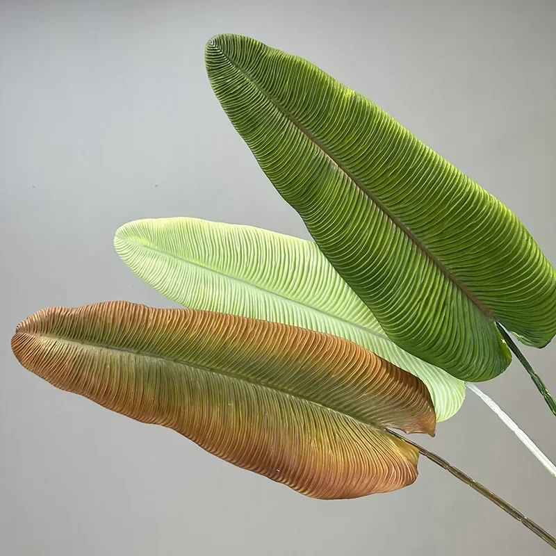 Plantes vertes artificielles e - Rubber Plant Ficus avis et prix