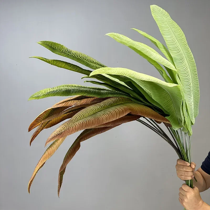 Plantes vertes artificielles e - Rubber Plant Ficus avis et prix