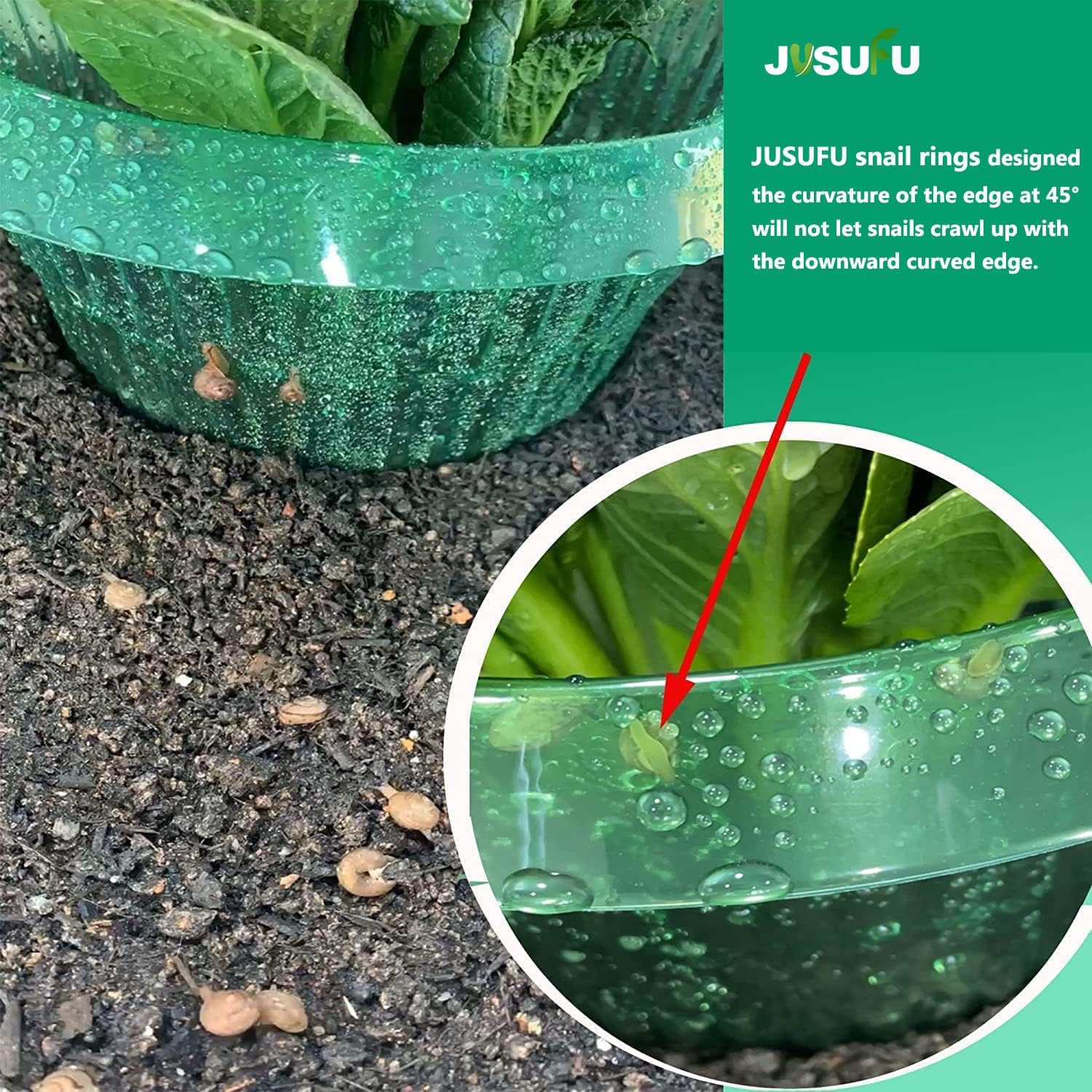 1/30 pièces Anneaux de protect - Plant Parent Tools avis et prix