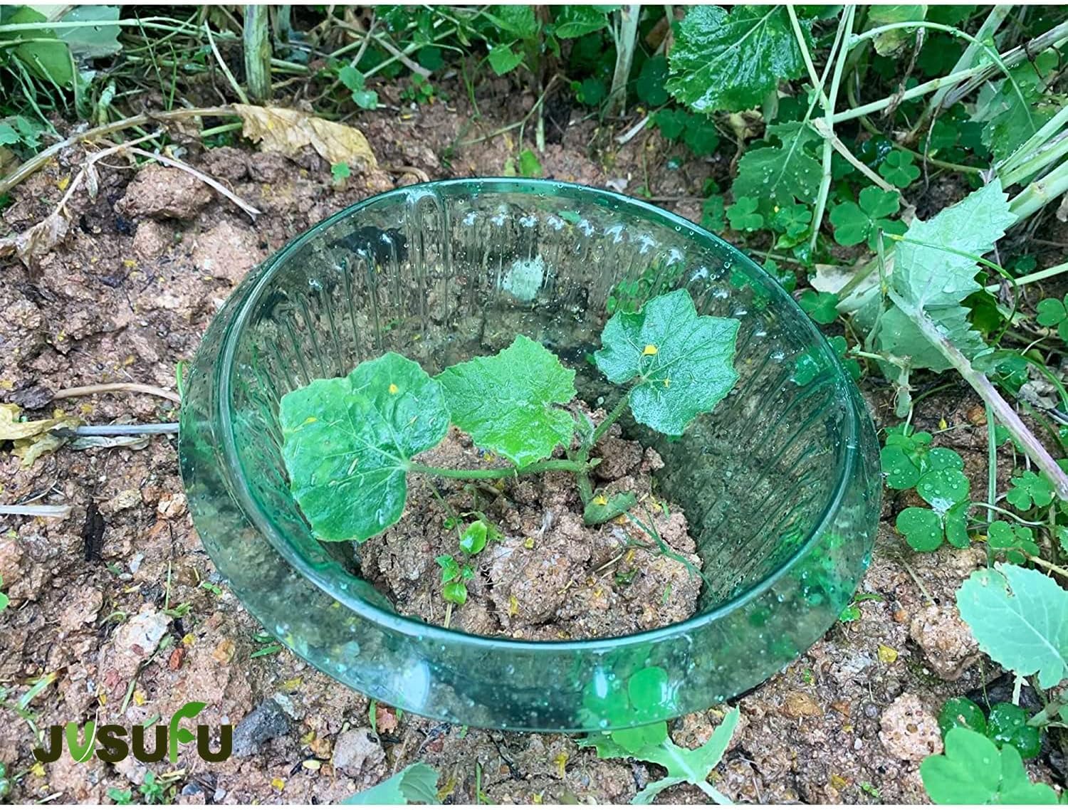 1/30 pièces Anneaux de protect - Plant Parent Tools avis et prix