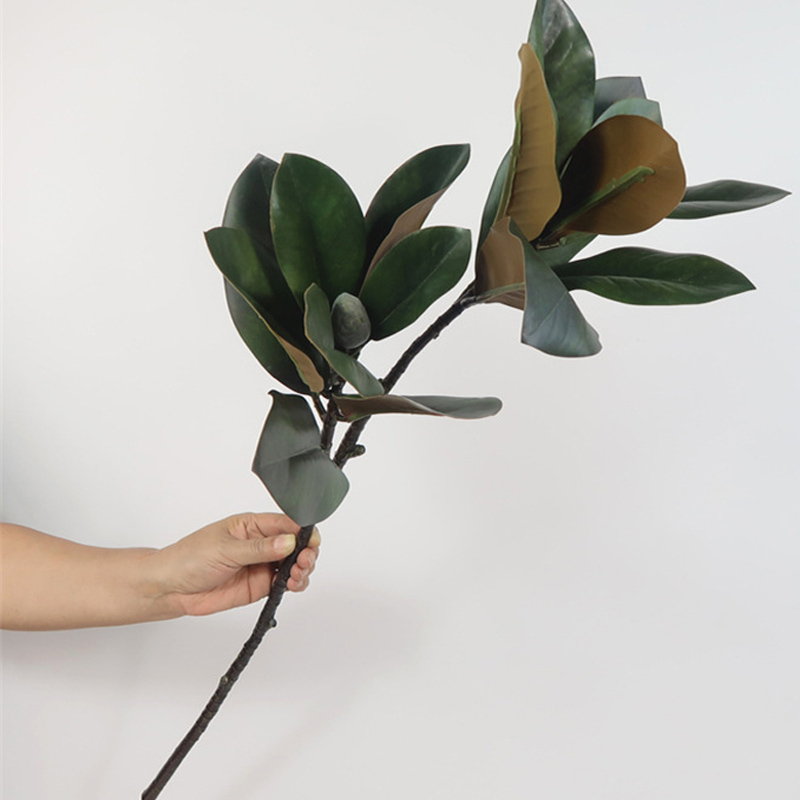 Grandes Plantes Artificielles, - Rubber Plant Ficus avis et prix