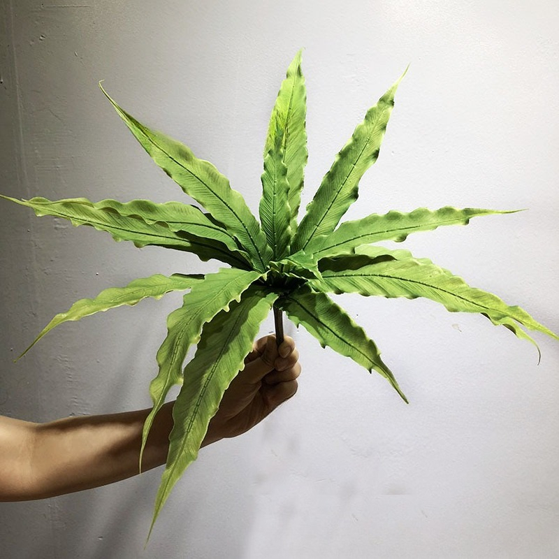 Plantes de fougère artificiell - Rubber Plant Ficus avis et prix