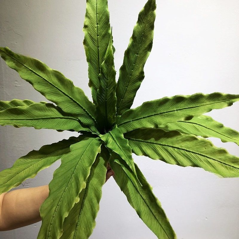 Plantes de fougère artificiell - Rubber Plant Ficus avis et prix
