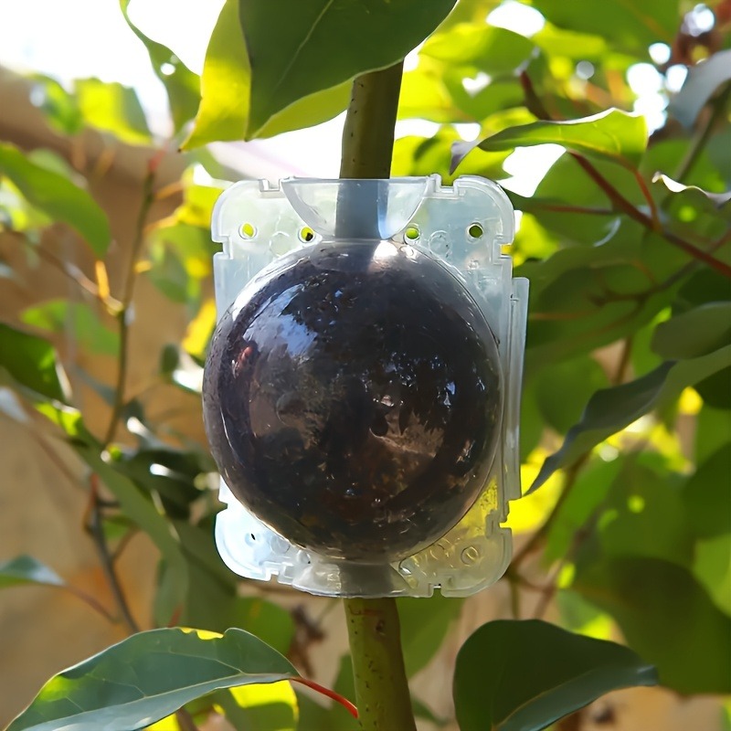 Kit de 10 pièces pour la propa - Plant Parent Tools avis et prix